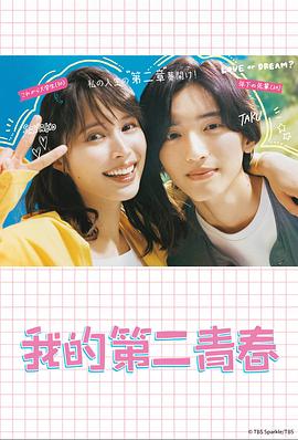 崇左创新seo优化